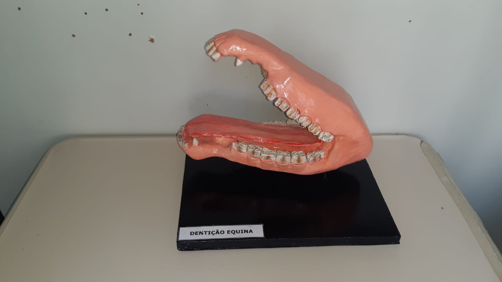 Modelo de boca equina em 3D