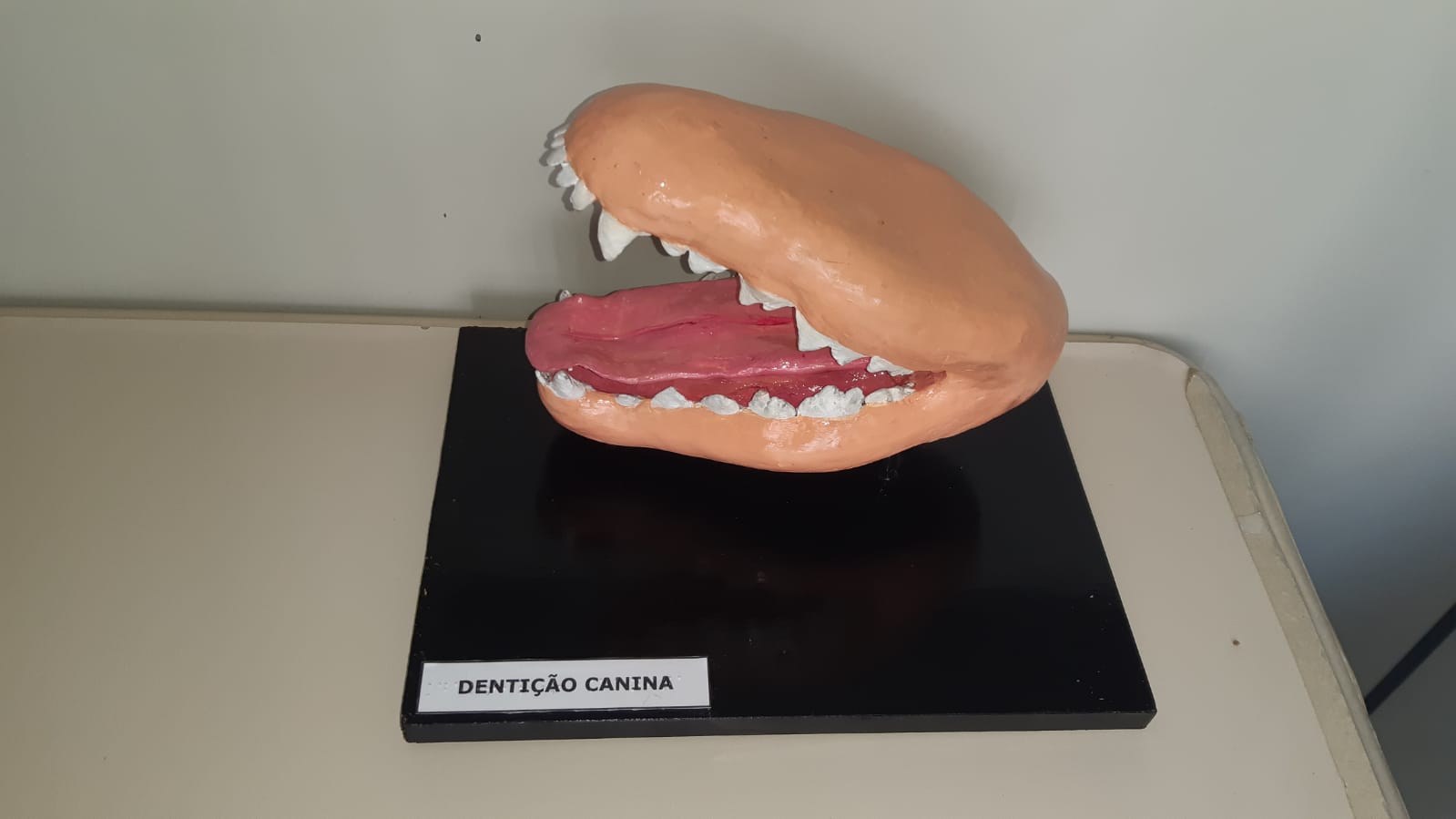 Modelo de boca canina em 3D